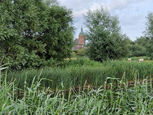Wie Dutzende andere Ortschaften: Auch Burg auf Fehmarn hatte einen Ringwallhafen
